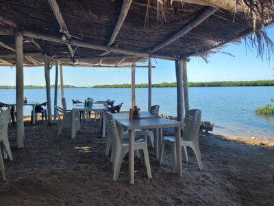 MARISCOS EL TIO CHUY PLATA